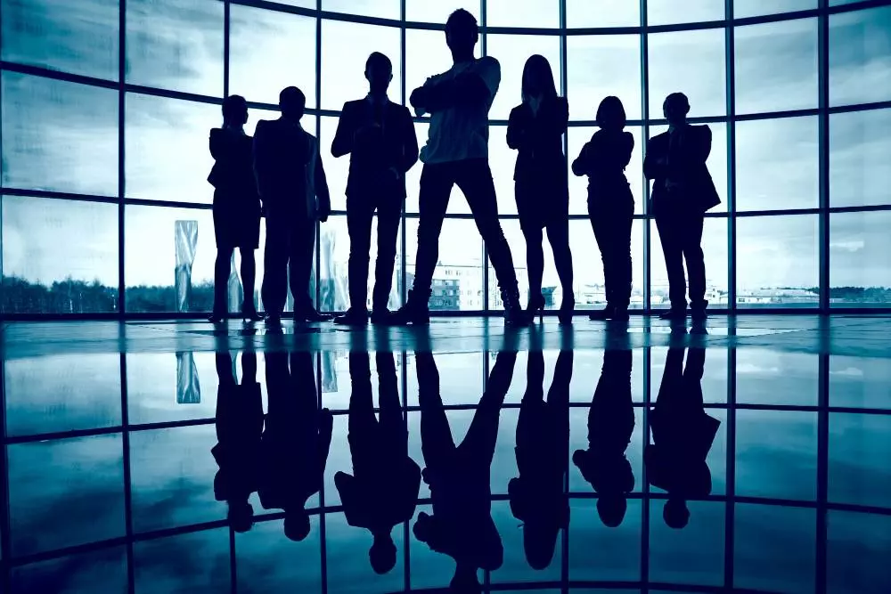 Silhouettes of business people standing in front of a large window, showcasing the company's industry values.